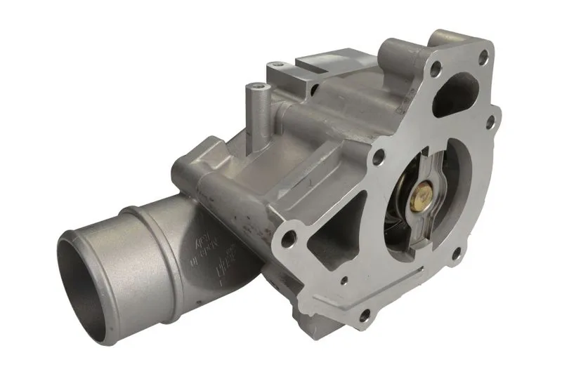 5802055310 Termostat,lichid racire FPT