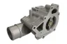 5802055310 Termostat,lichid racire FPT