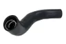 Furtun ear supraalimentare