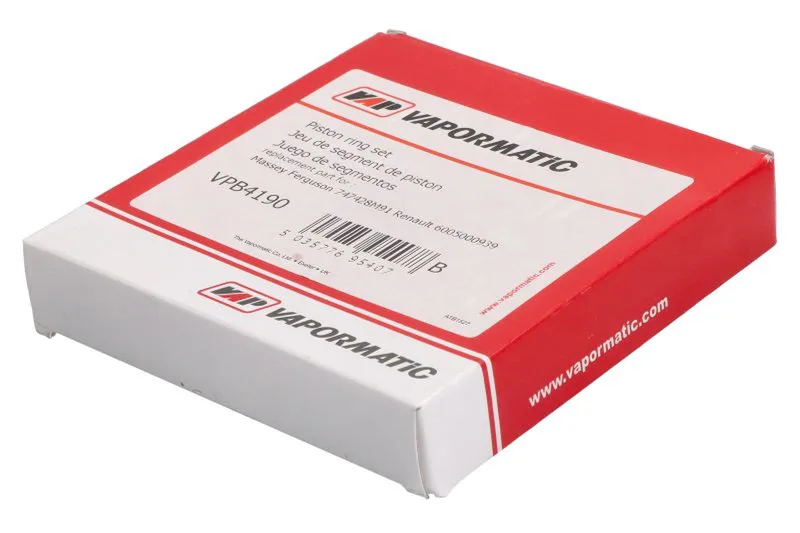 VPB4190 Set segmenti piston VAPORMATIC