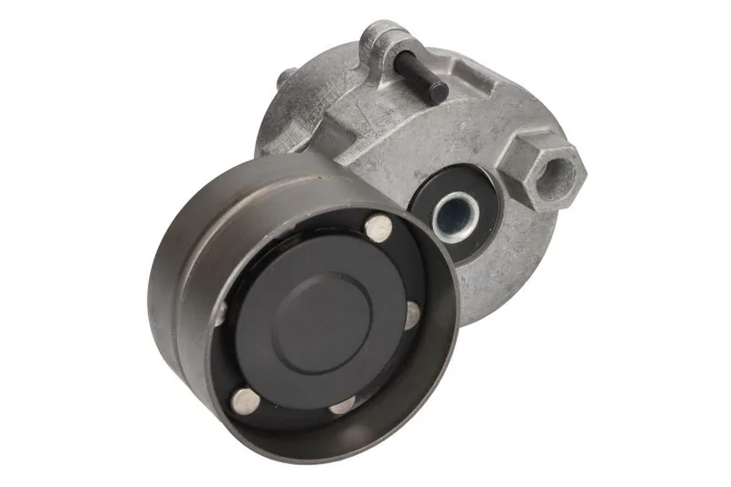 B05-AG-1031 Rola intinzator,curea transmisie BTA