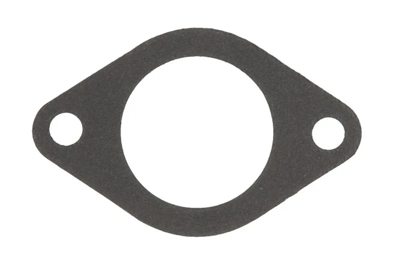 Garnitura, carcasa termostat