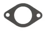 ENT020252 Garnitura, carcasa termostat ENGITECH