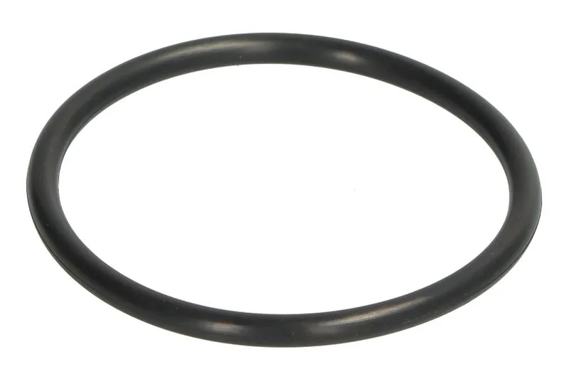 28604 Set reparatie, diferential CARRARO