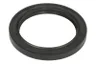 ENT020766 Simering, arbore cotit ENGITECH