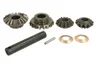 66146 Set reparatie, diferential CARRARO