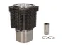 Set raparatii, piston/bucsa cursa cilindru