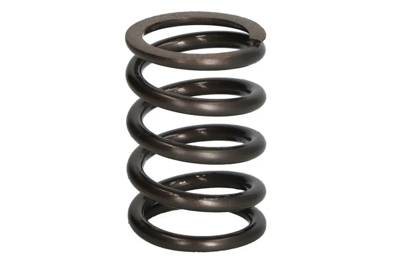 135784 Set reparatie, diferential CARRARO
