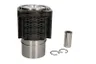 Set raparatii, piston/bucsa cursa cilindru