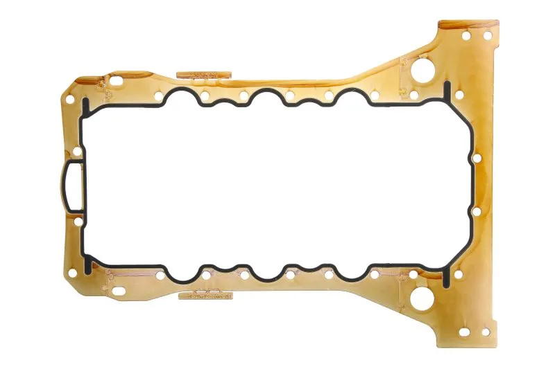 5802048518 Garnitura pompa ulei FPT