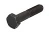 119906 WY Set reparatie, diferential CARRARO