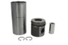 Set raparatii, piston/bucsa cursa cilindru