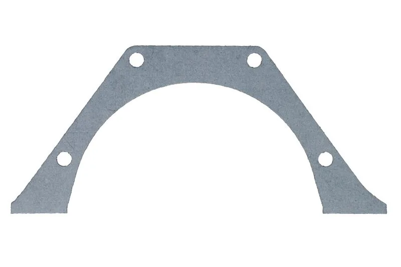 4849994 Garnitura bloc motor FPT