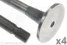 VPA1550 Supapa evacuare VAPORMATIC