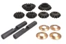 68442-CR Set reparatie, diferential CARRARO