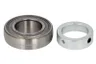 YET 209 /SKF/ Rulment