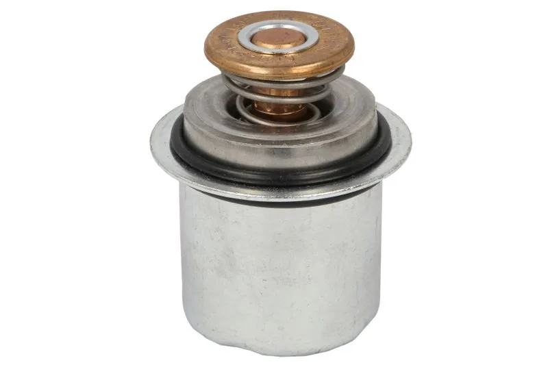 Termostat,lichid racire