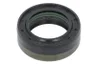 395709 Simering, ax cardanic CARRARO