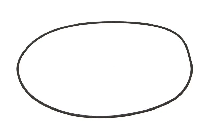 O-ring