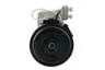 10B17-ACE99505 Compresor, climatizare SANDEN