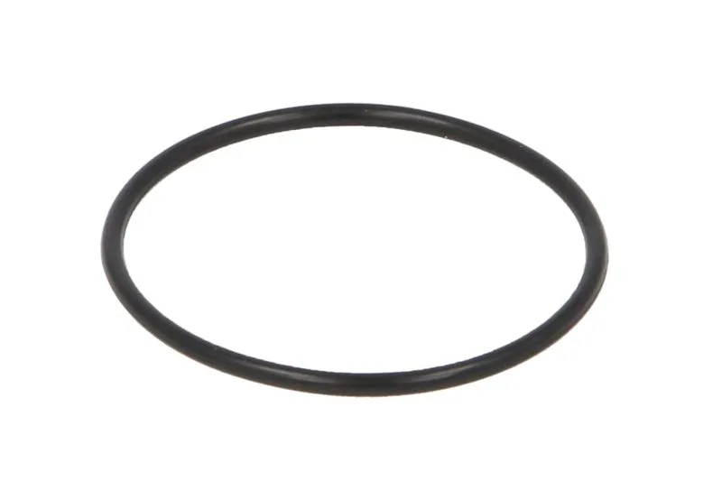 001.05.1579 Set reparatie, diferential DANA SPICER