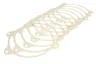 ENT030022 Simering, cutie de viteze manuala ENGITECH