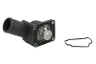 Termostat,lichid racire