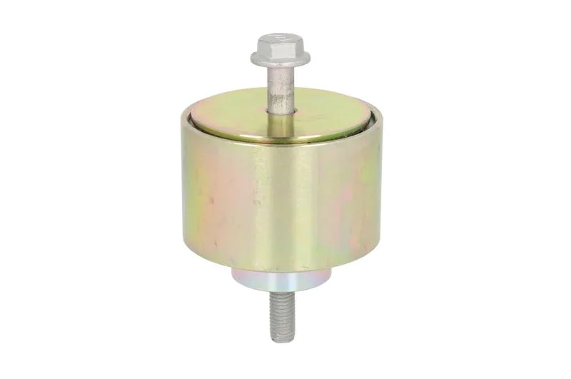 Rola intinzator,curea transmisie