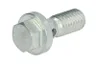 3964817 Diuza ulei, racire fusta piston FP DIESEL