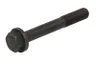 EQ02100120 Surub chiulasa MOTIVE