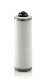 Filtru, aerisire bloc motor