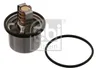 Termostat,lichid racire