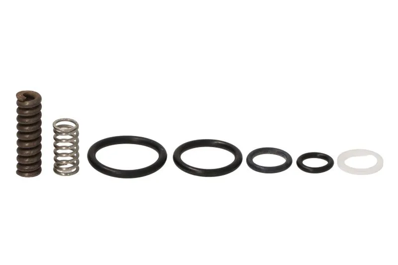 ENT200041 Set reparatie, pompa combustibil ENGITECH