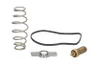 Termostat,lichid racire