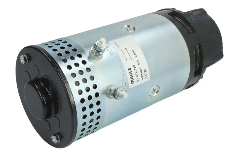 Motor electric