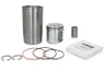 RE507850-FP Set raparatii, piston/bucsa cursa cilindru FP DIESEL