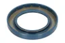25230 Garnitura, diferential CARRARO