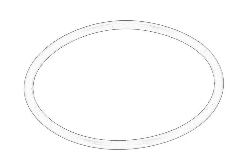 O-ring