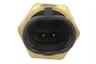 EQ32009648 Senzor,temperatura aer admisie MOTIVE