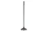 2527801-FP Supapa admisie FP DIESEL