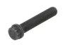R114083 Surub biela FP DIESEL
