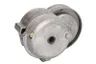 500350419 Intinzator,curea transmisie FPT