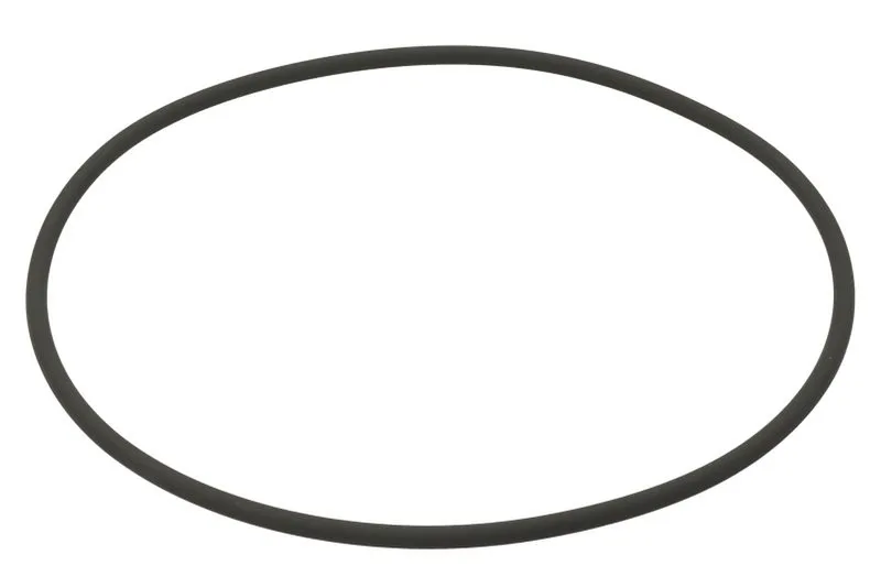 O-ring, camasa cilindru