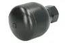 11163151 Acumulator presiune,suspensie SRP