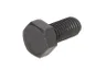 127924-CR Set reparatie, diferential CARRARO