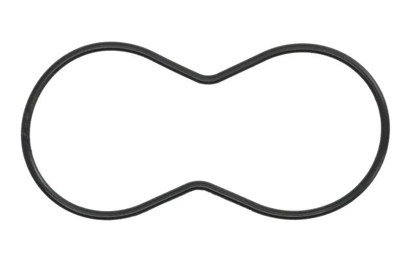 Garnitura, carcasa termostat