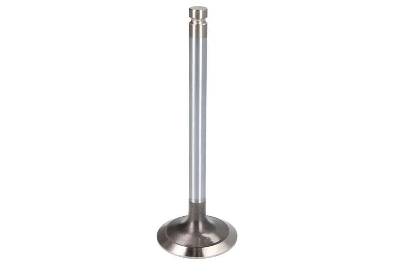 VPA1016 Supapa admisie VAPORMATIC