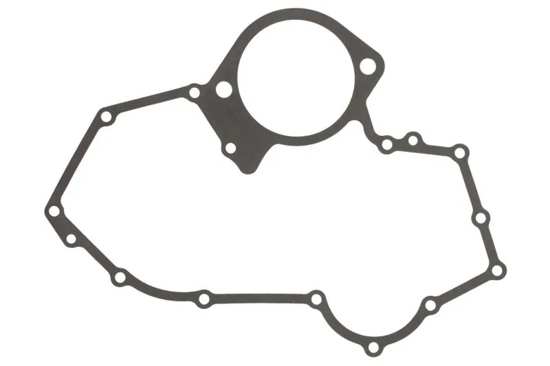 4237723 Garnitura, distributie FP DIESEL