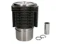 Set raparatii, piston/bucsa cursa cilindru