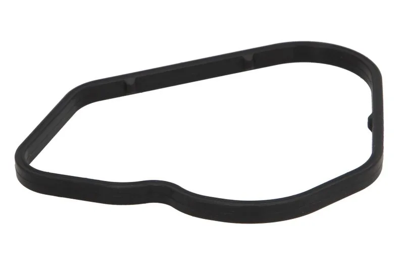 Garnitura, pompa de apa